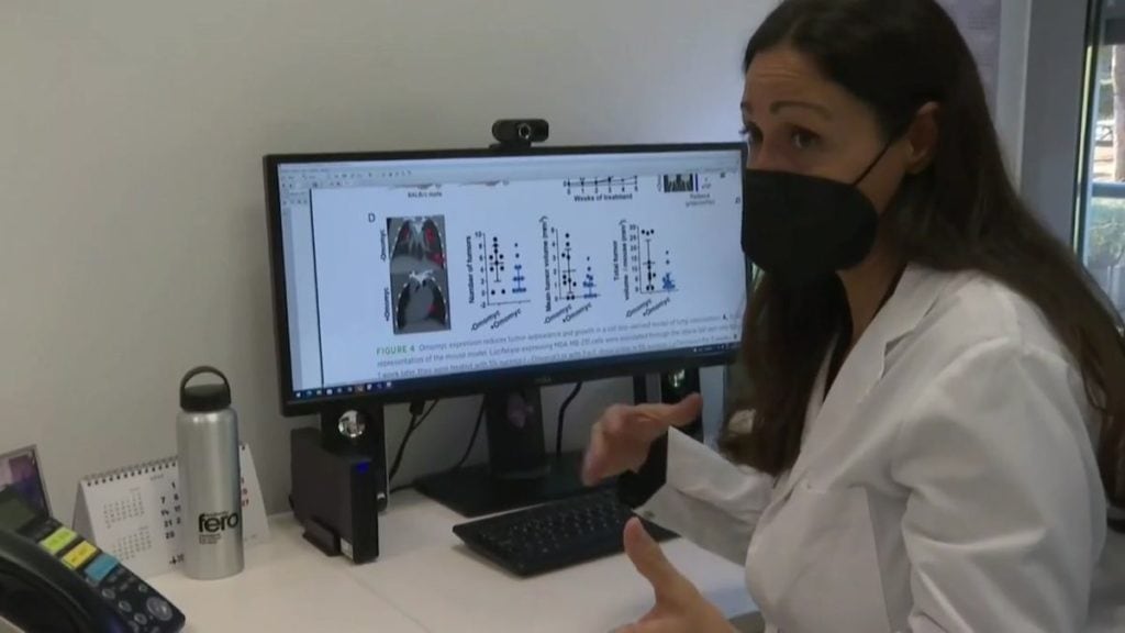 Descubren una proteína terapéutica que ataca el cáncer de mama