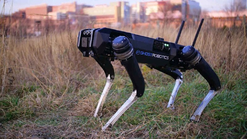 EEUU incorporará perros robots para patrullar la frontera