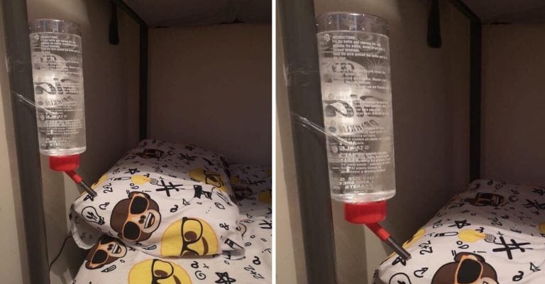 Polémica luego que madre colocó un bebedero de ratón para que su hijo no la despierte