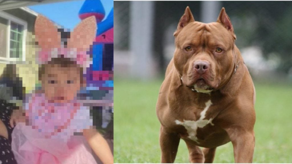 Madre apuñala a un pitbull para salvar a su hija de un feroz ataque