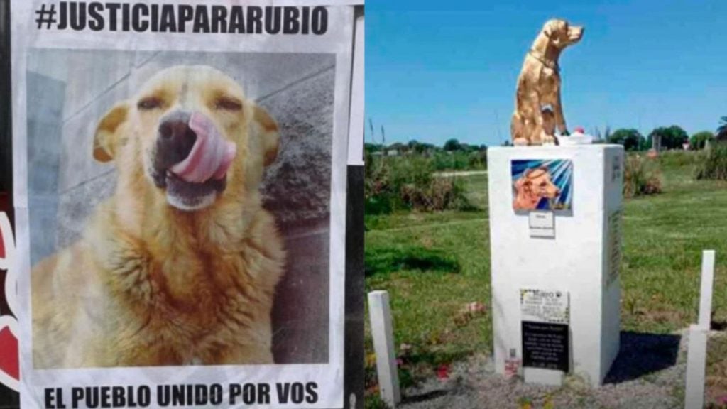 Histórica condena a un hombre que mató a un perro atándolo y arrastrándolo con su camioneta