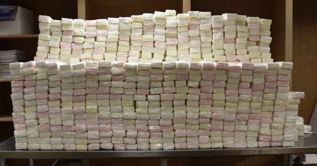 hallado en un envió de toallitas húmedas para bebés