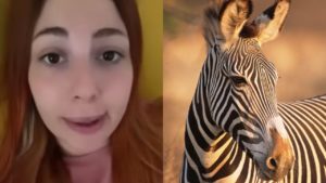 “Cebri”, la mujer que se cree cebra y denuncia que la rechazaron de un zoológico
