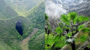 Científicos aseguran que en el mundo subterráneo encontrado en China podrían existir nuevas especies