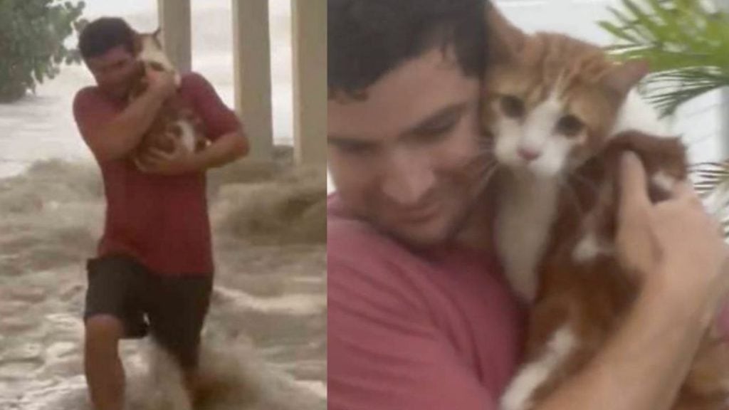 Joven salva a un gato de morir ahogado y arriesga su vida en pleno huracán Ian