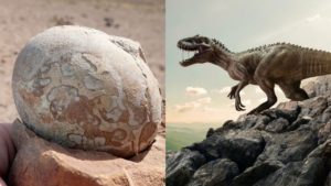 Hallan cien huevos y 69 esqueletos de dinosaurios de todas las edades
