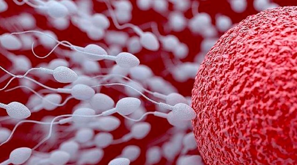 Hombres están perdiendo la calidad y cantidad para generar espermatozoides,