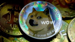 El adorable Shiba Inu esta gravemente enfermo