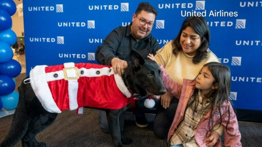 Capitán de una aerolínea adopta a un perrito abandonado en el aeropuerto