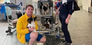 El pasajero que se desplomó de angustia al no encontrar a sus perros se reúne con ellos