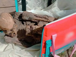 Encuentran momia de 800 años en mochila de repartidor de delivery en Perú