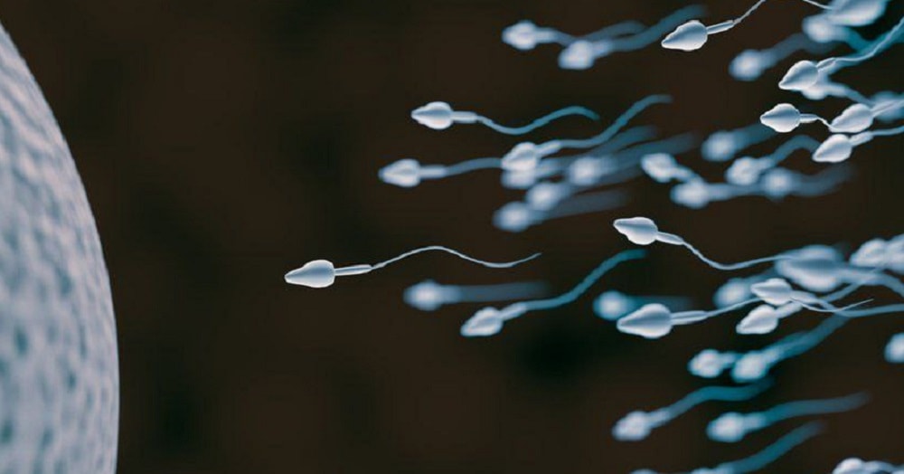 Presentan la primera píldora anticonceptiva para hombres