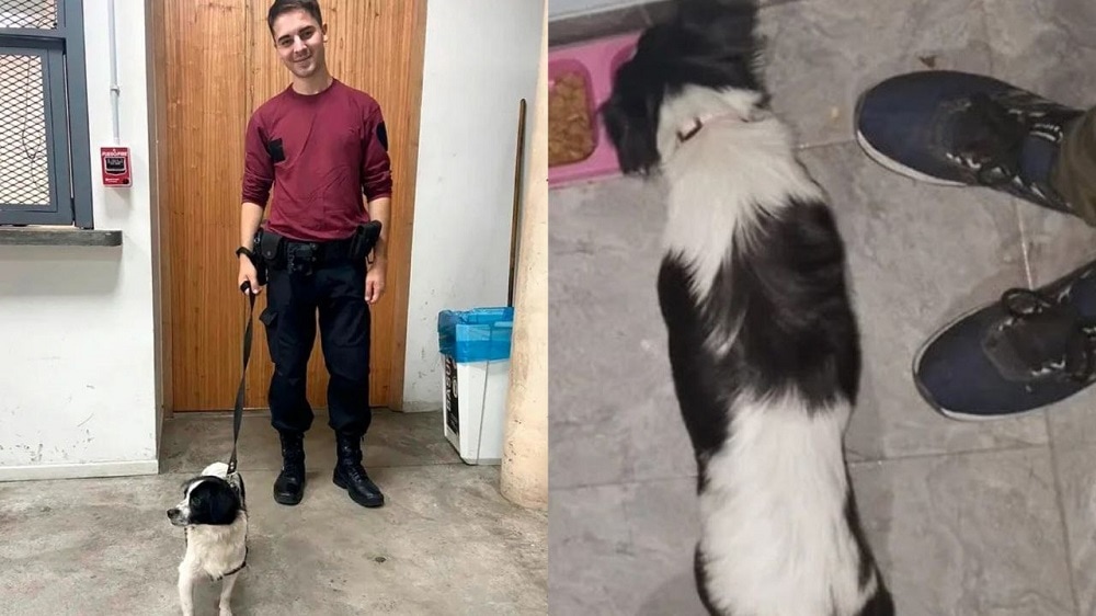 Policía salva a una perrita abandonada en un basurero: “Vamos a darle una buena vida”