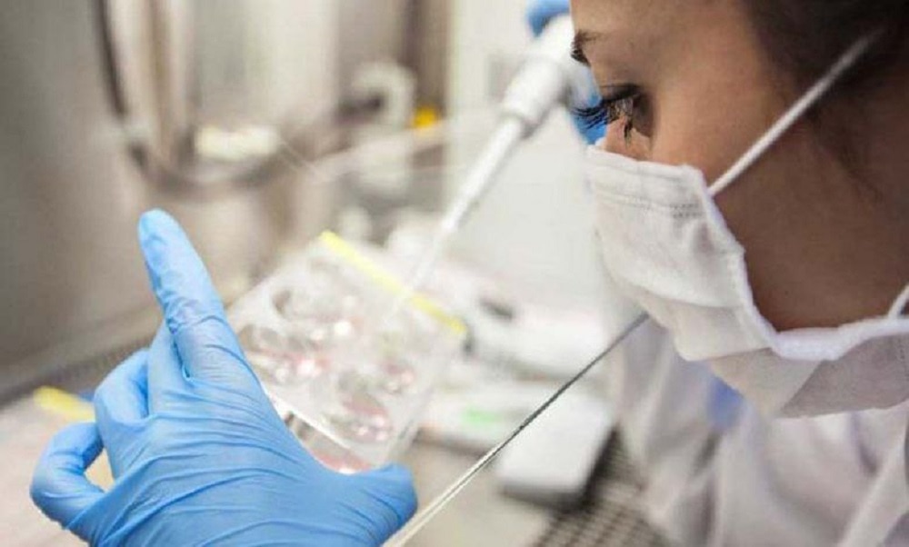 Primera mujer se cura del VIH después de un trasplante de médula con células de cordón umbilical