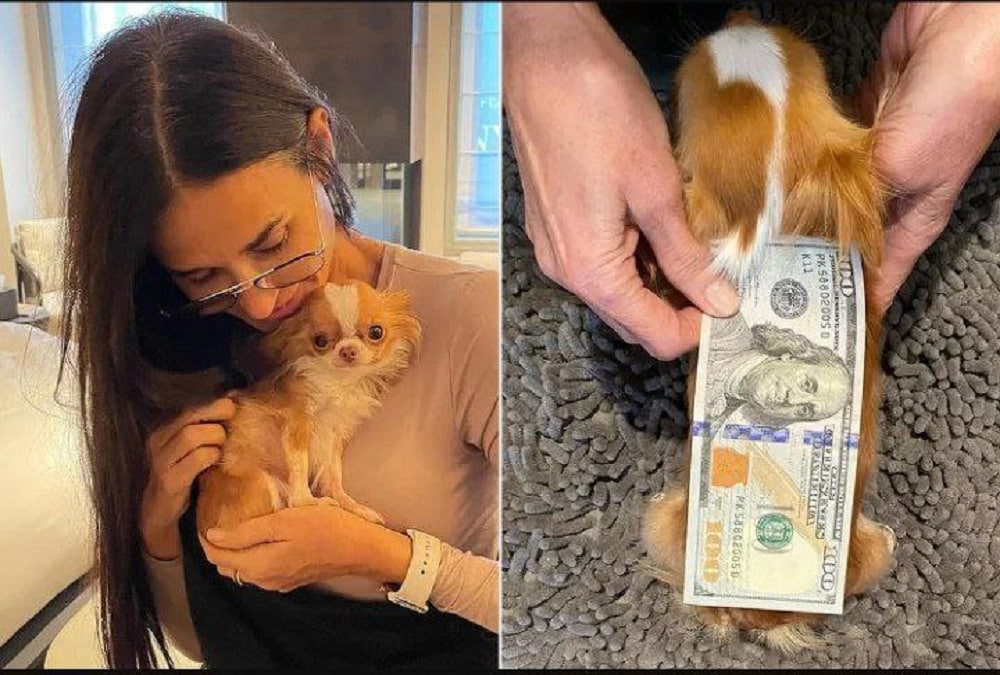 Demi Moore asegura que tiene al chihuahua más corto del mundo