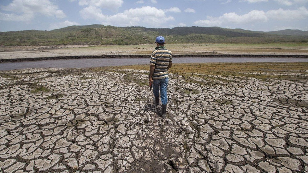 Regresa el fenómeno de El Niño en el 2023: ¿Qué significa?