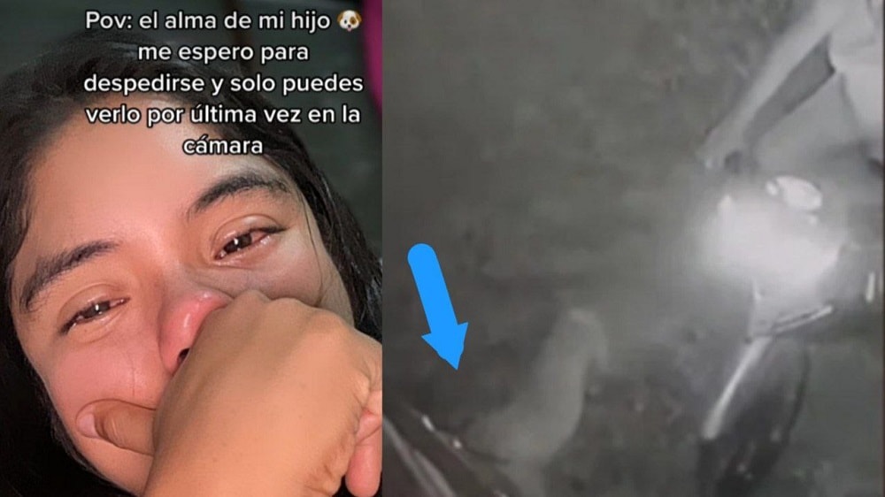 Dueña de perrito asegura que el espíritu de su mascota se despidió de ella antes de partir