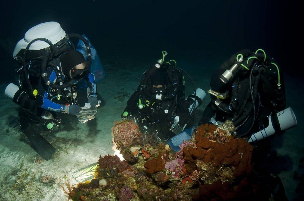 Científicos buscarán en el mar sustancias que combatan el cáncer