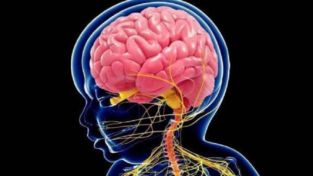 Alerta y desconcierto por inexplicable aumento de infecciones cerebrales en menores de edad