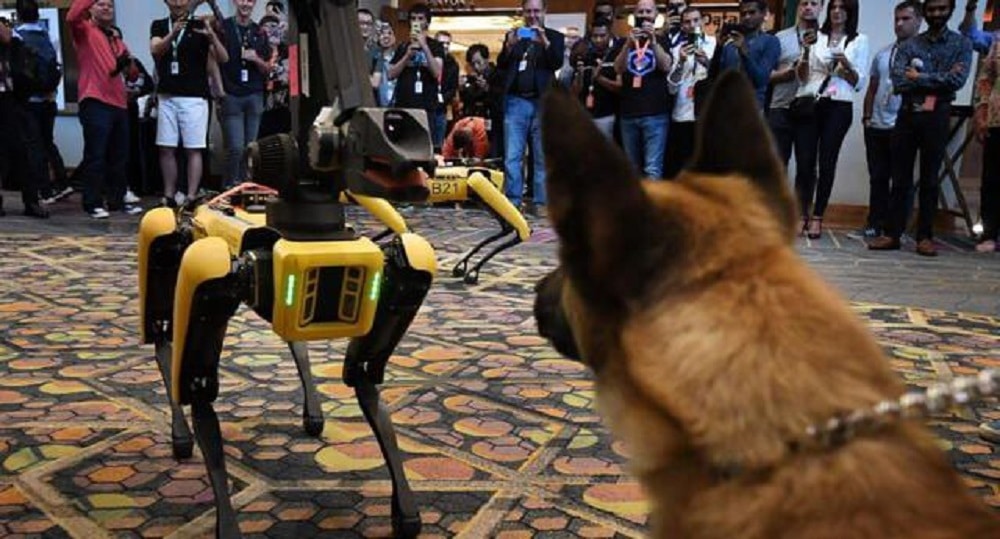 perro robot