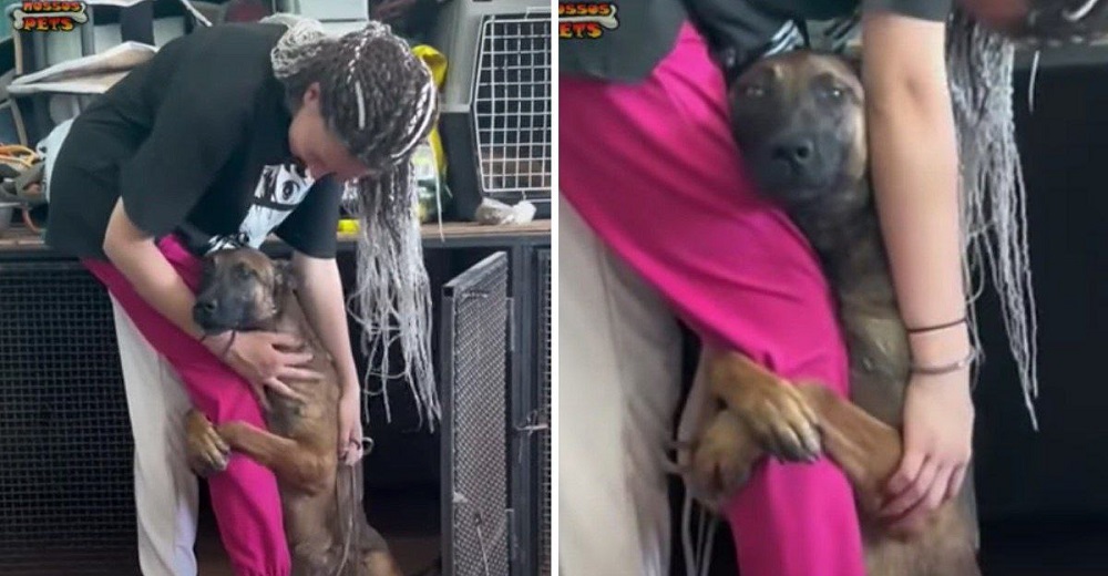 Perrito se aferra a la pierna de una joven para ser adoptado: Suplicó, pero no lo logró