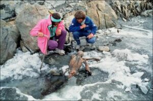alpinista aleman , alpes suizos