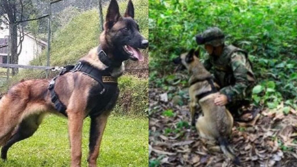 tiempo se agota para Wilson