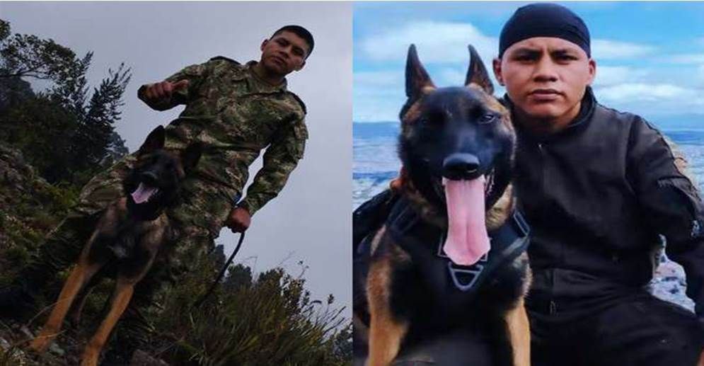 Guía de Wilson se negó a dejar la selva hasta encontrar a su perro, según El Tiempo