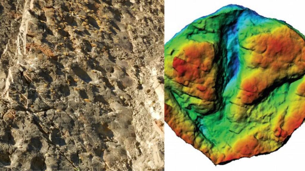 Científicos encuentran el “coliseo de dinosaurios”, un hallazgo sorprendente