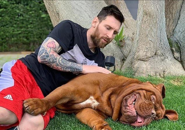Mudanza de Messi a EEUU le costó el dolor de dejar a su mascota Hulk en Barcelona