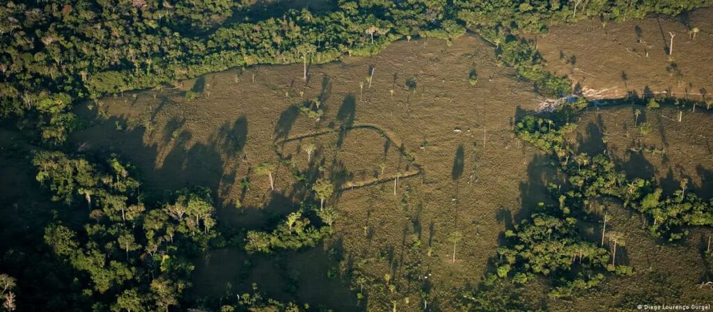 amazonas selva