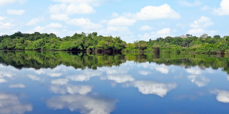 Brasil autoriza un ejercicio militar estadounidense en la Amazonia