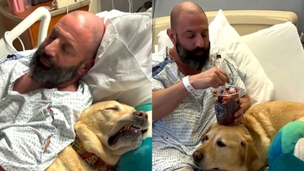 Perrito acompañó a su dueño en el hospital, no quiso separarse ni un momento