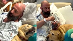 Perrito acompañó a su dueño en el hospital, no quiso separarse ni un momento