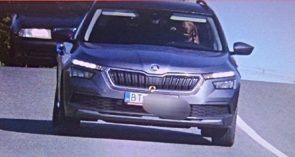 Un perro “manejando” a exceso de velocidad sorprende en las redes sociales