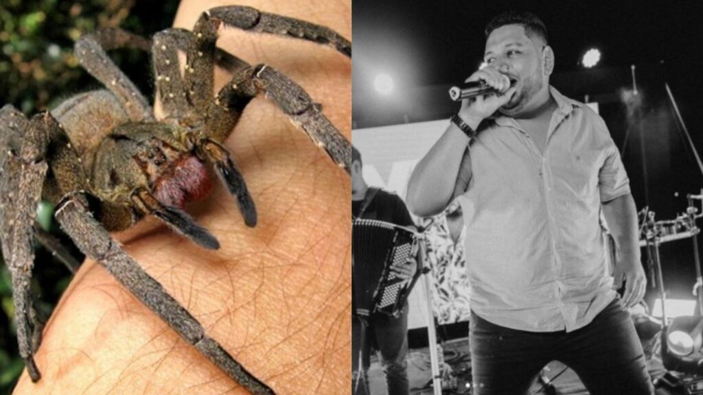 Cantante muere tras ser picado por una araña bananera en la mejilla