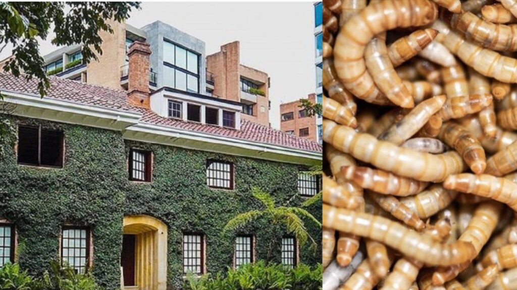 Restaurante de James Rodríguez denunciado por insalubre, salió un gusano del plato