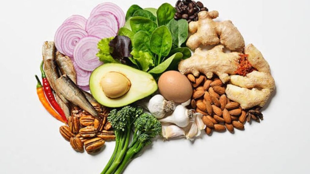 vegano cerebro veganos vegatariano