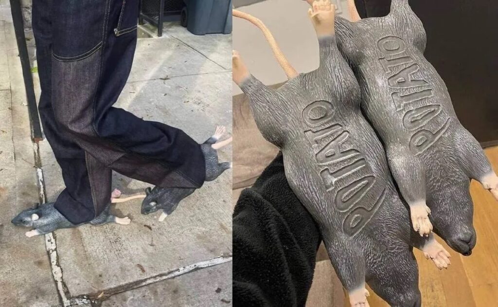 zapatos ratas