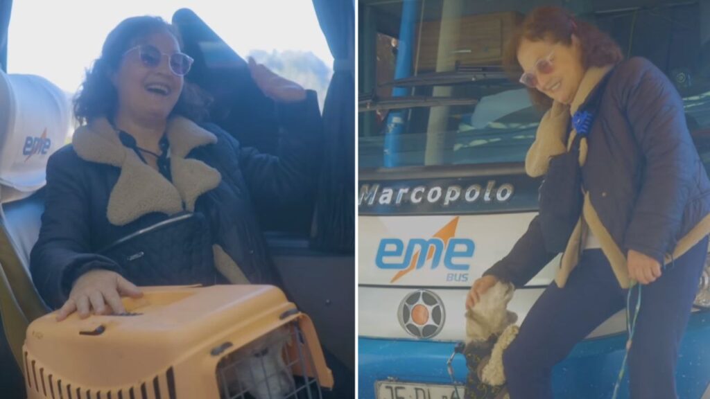Empresa de buses estrena servicio que permite que las mascotas se sienten con sus dueños