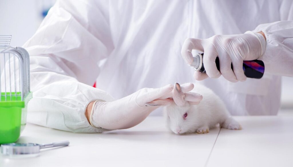 prueba en animales , cosmeticos crueldad chile