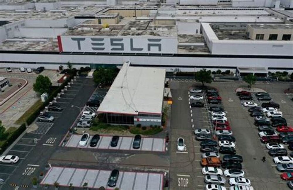 Robot "atacó" a un empleado de Tesla, le incrustó las garras en la espalda y el brazo