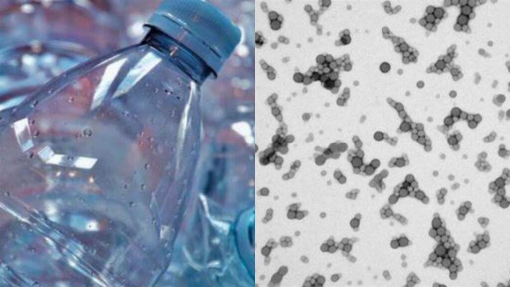 Nanoplásticos en el agua embotellada pueden invadir las células del cuerpo