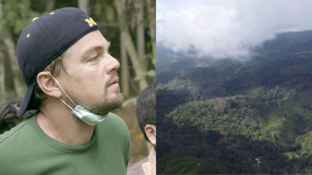 Leonardo DiCaprio está interesado en financiará la protección de una nueva área protegida en Honduras