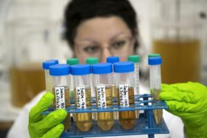 Descubren que la orina humana es una excelente alternativa para crear fertilizantes
