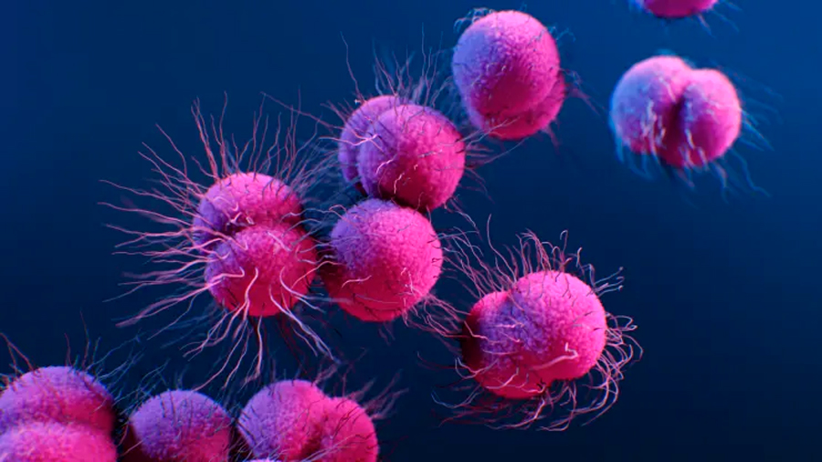 EEUU denuncia que China oculta una enfermedad resistente a los antibióticos
