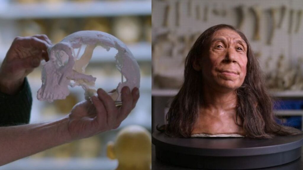 Así era el rostro de un neandertal de 40 años de edad que vivió hace 75,000 años