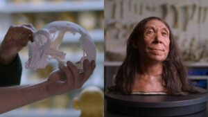 Así era el rostro de un neandertal de 40 años de edad que vivió hace 75,000 años