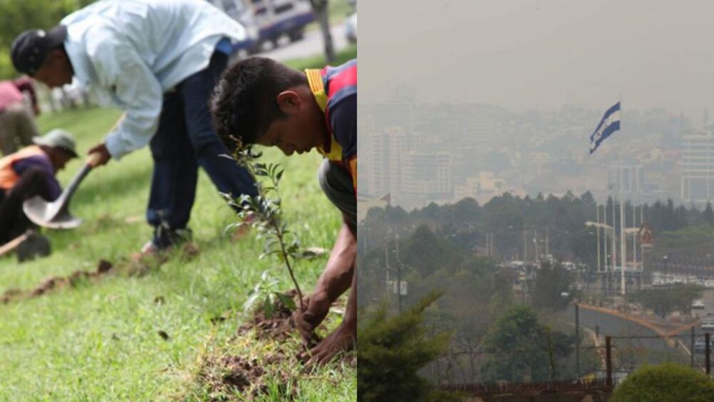 Reforestación masiva en la capital de Honduras continúa la próxima semana