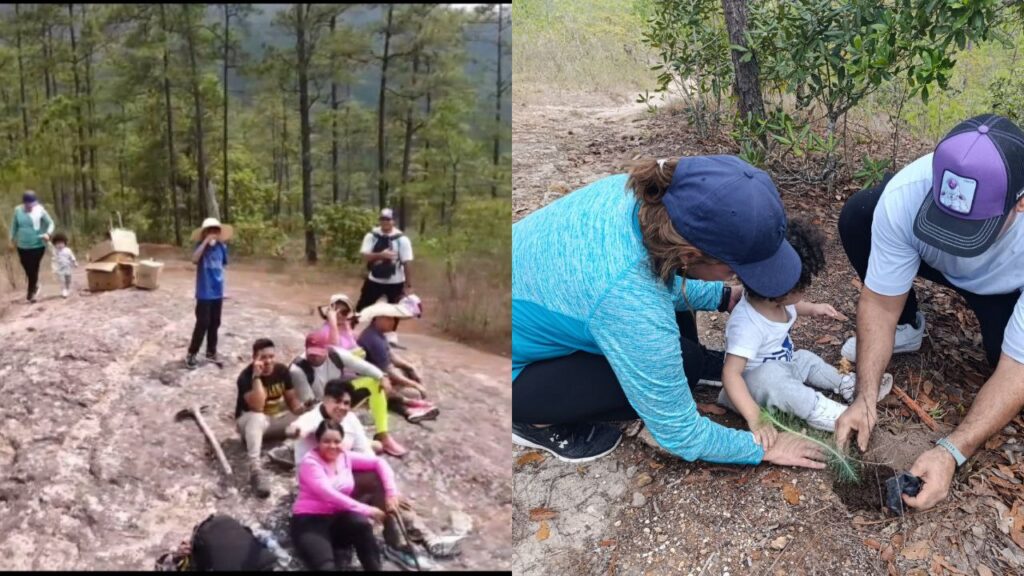 Un grupo de amigos se unen para sembrar 300 árboles en el Distrito Central de Honduras